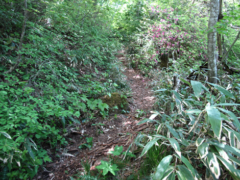 20140517hike (211)